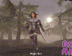 Final Fantasy XI gameplay screenshot med miljö